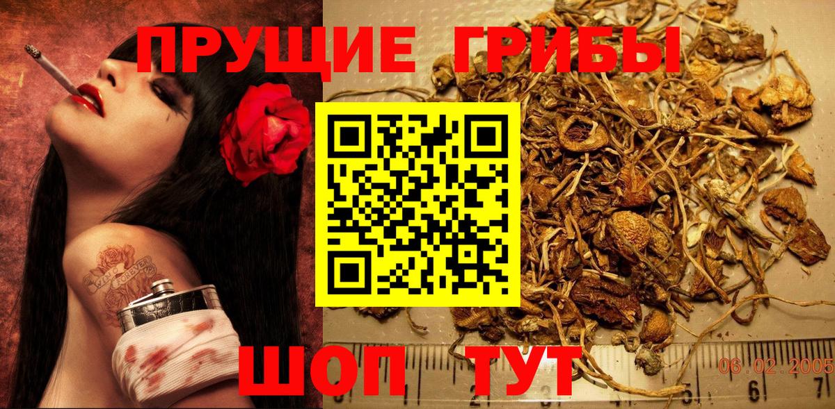 Псилоцибиновые грибы Psilocybe  Вход с VPN  Псилоцибиновые грибы MAGIC MUSHROOMS  Томск 